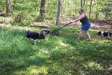 Picture 0076