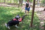 Picture 0077