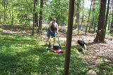 Picture 0078