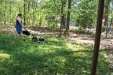 Picture 0080