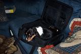 Picture 0081