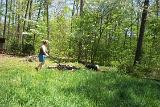 Picture 0081a