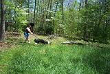Picture 0082