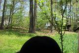 Picture 0084a