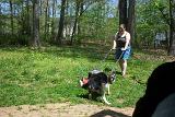 Picture 0085a