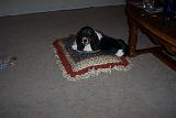 Picture 0086