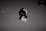 Picture 0087