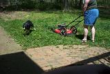 Picture 0087a
