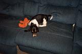 Picture 0089