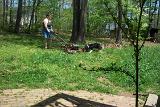 Picture 0089a