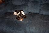 Picture 0090