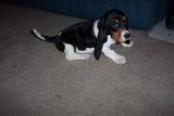 Picture 0091