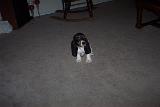 Picture 0092