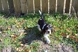 Picture 0093