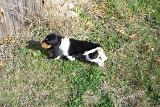 Picture 0094