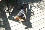 Picture 0094a
