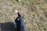 Picture 0096