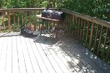 Picture 0098