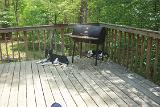Picture 0107