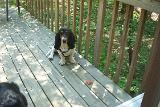 Picture 0108