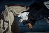 Picture 0148
