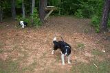 Picture 0191