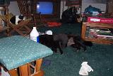 Picture 0210