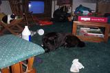 Picture 0211
