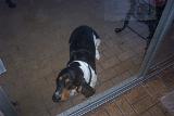 Picture 0236