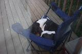 Picture 0241
