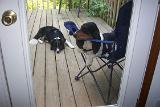 Picture 0242