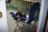 Picture 0243