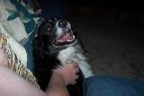 Picture 0259