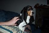 Picture 0260
