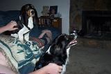 Picture 0262