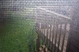 Picture 0276