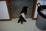 Picture 0280