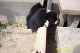 Picture 0291