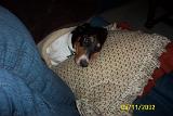 Picture 0307