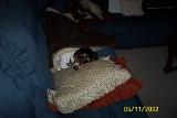 Picture 0308