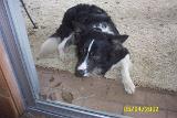 Picture 0309