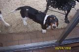 Picture 0310