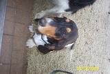 Picture 0311