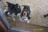 Picture 0312