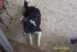Picture 0313