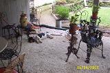 Picture 0314