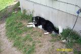 Picture 0315