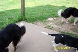 Picture 0316