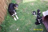 Picture 0318