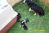 Picture 0321